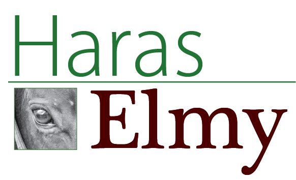 Logo du Haras Elmy